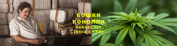 не бодяженный Горно-Алтайск