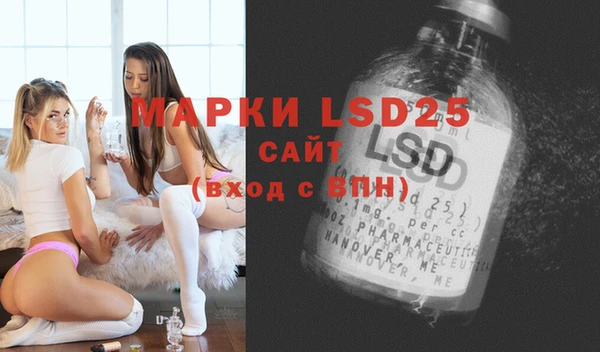 прущие крисы Горняк