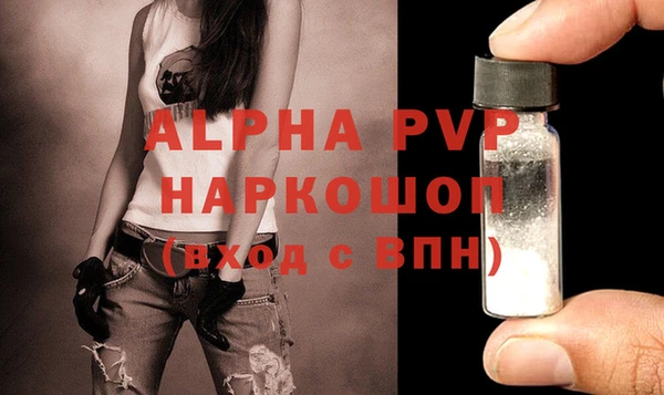 прущие крисы Горняк