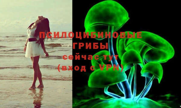 не бодяженный Горно-Алтайск