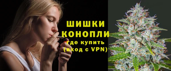 не бодяженный Горно-Алтайск