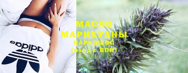 прущие крисы Горняк